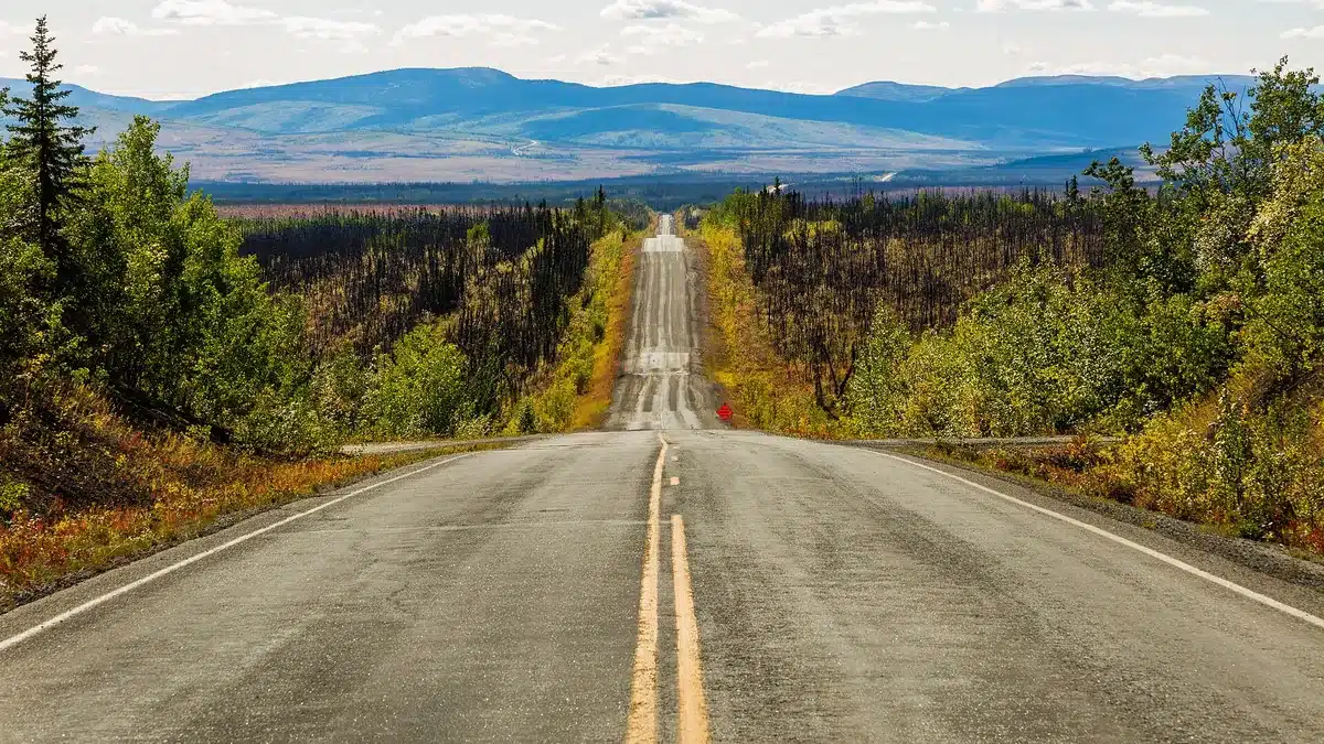 Two-lane highway cutting through Alaska forest